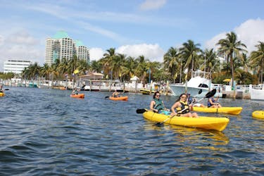 1-часовой прокат одиночных или тандемных каяков в заливе Бискейн в Майами
